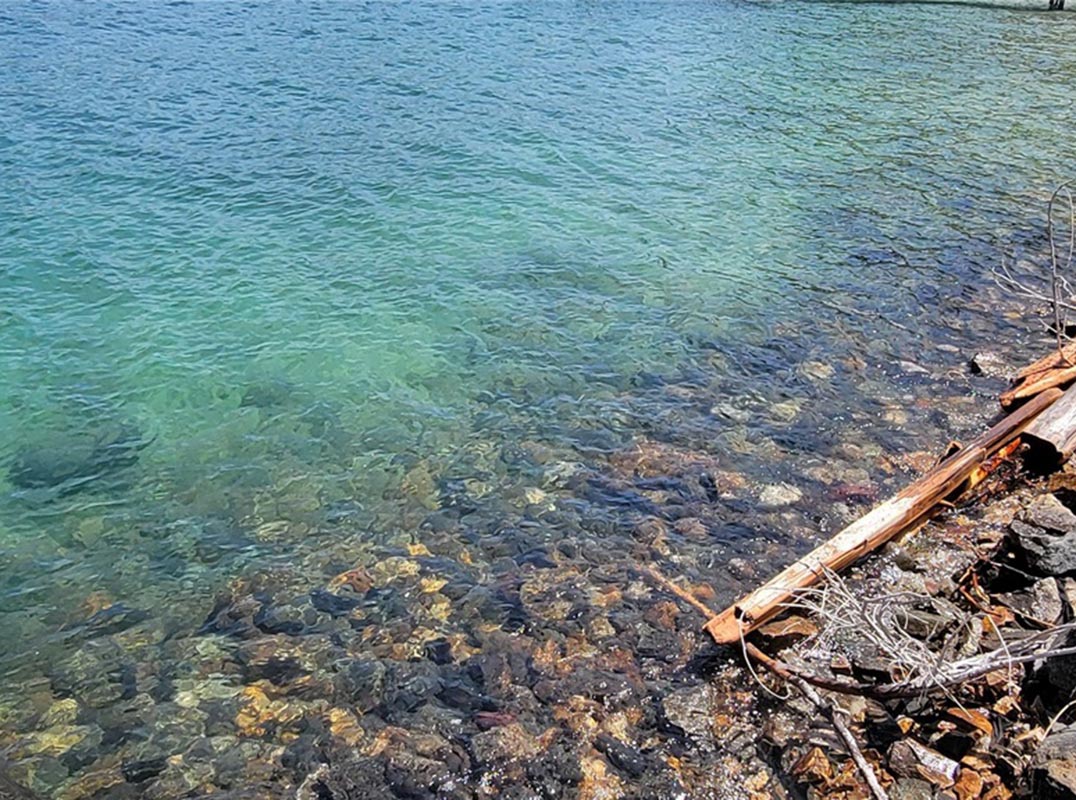 Lake Chelan Waterfront Site!