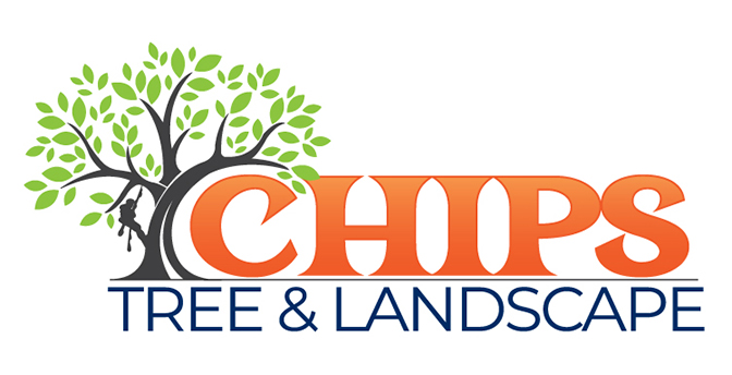 Chips Tree Service,